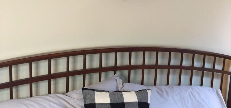 Feathering an Empty Nest