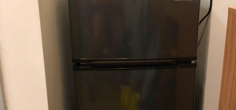 Twin College Move Ins – and a NewAir Compact Refrigerator Review