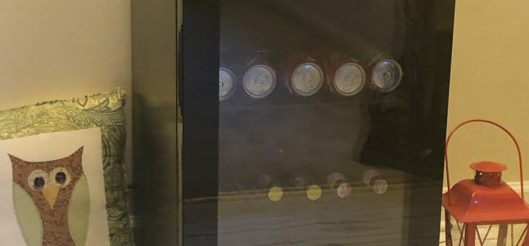 NewAir 20th Anniversary Limited Edition Beverage Fridge—Review and 20% Off Coupon Code