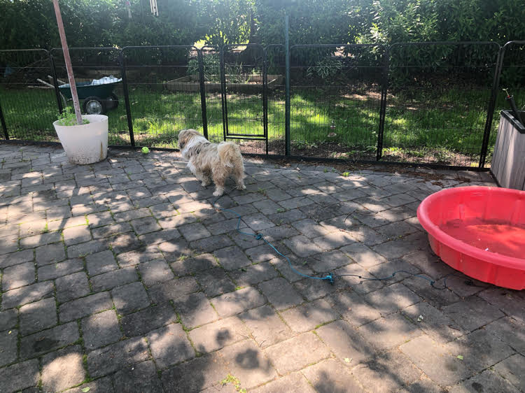 Outdoor patio hotsell dog gate