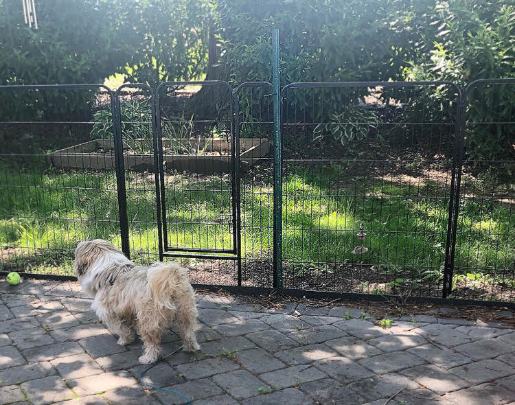 Patio shop dog fence