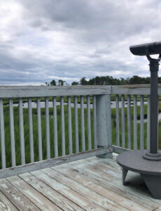 There is an observation desk at Cattus Island County Park that offers spectacular marshland views.