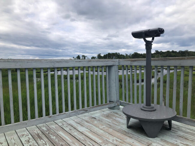 There is an observation desk at Cattus Island County Park that offers spectacular marshland views.