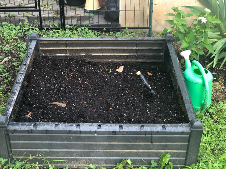 raised garden bed