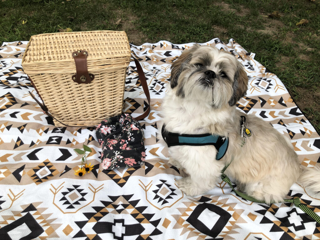 I love my Tesalate sand-free beach towel!