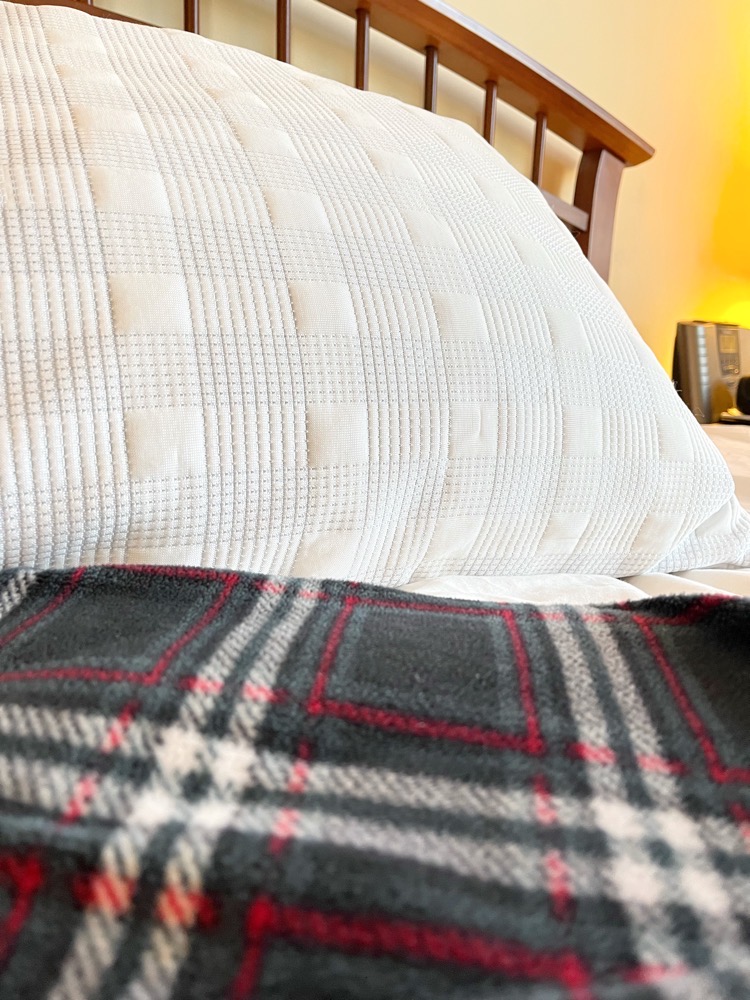 Fluffy Therapedic pillows with plaid blanket