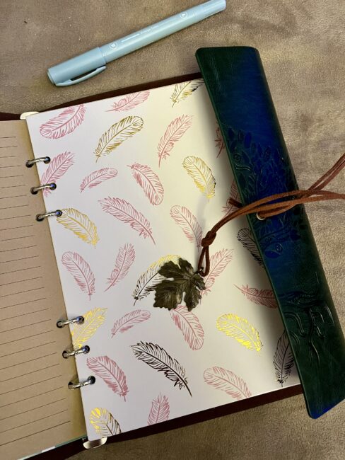 My new combined planner and diary - I like that it is a mini three-ring  binder so I can divide it into sections and add more pages where I choose.