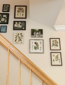 a beautiful gallery wall along a staircase with botanical prints