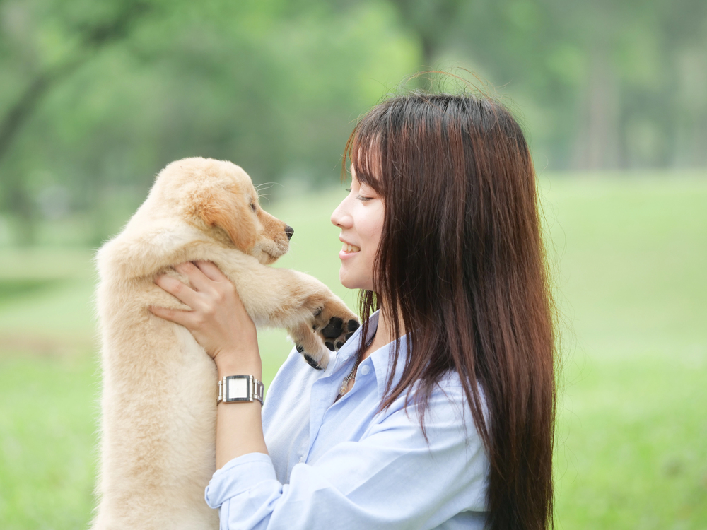 Owning a dog can benefit you so many ways, such as by providing companionship, exercise more and helping you to lead a healthier family. Learn the many pluses of adopting a dog.