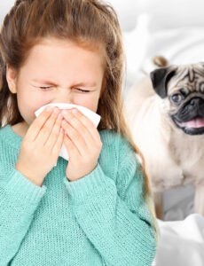 child, sneeze, pug, dog