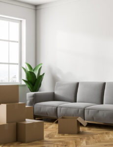 packing, boxes, living room