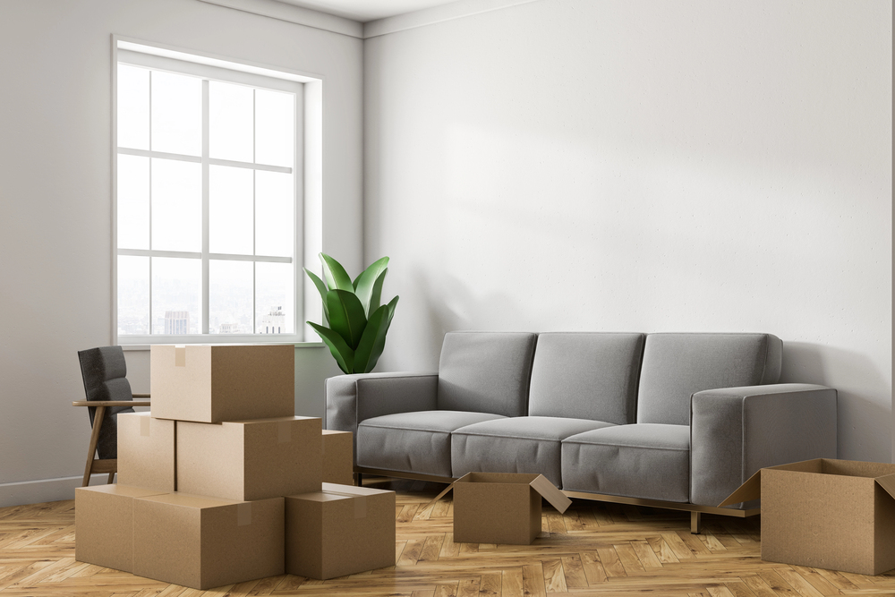 packing, boxes, living room