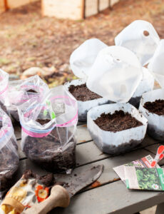 milk jobs and resealable plastic bags for winter sowing