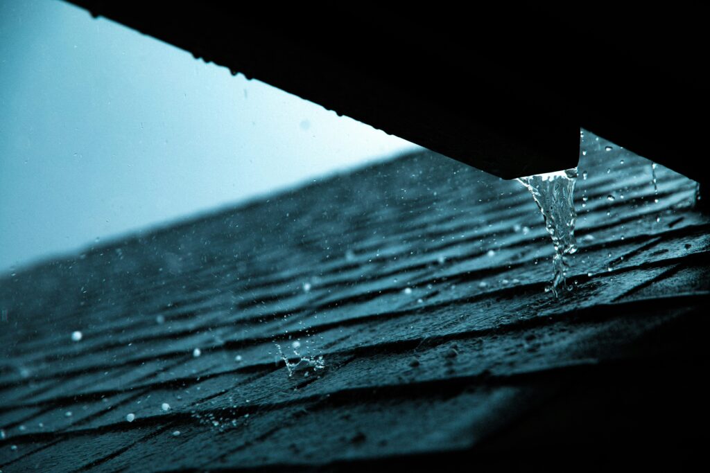 rain, roof