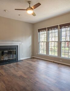 ceiling fan, living, family, room