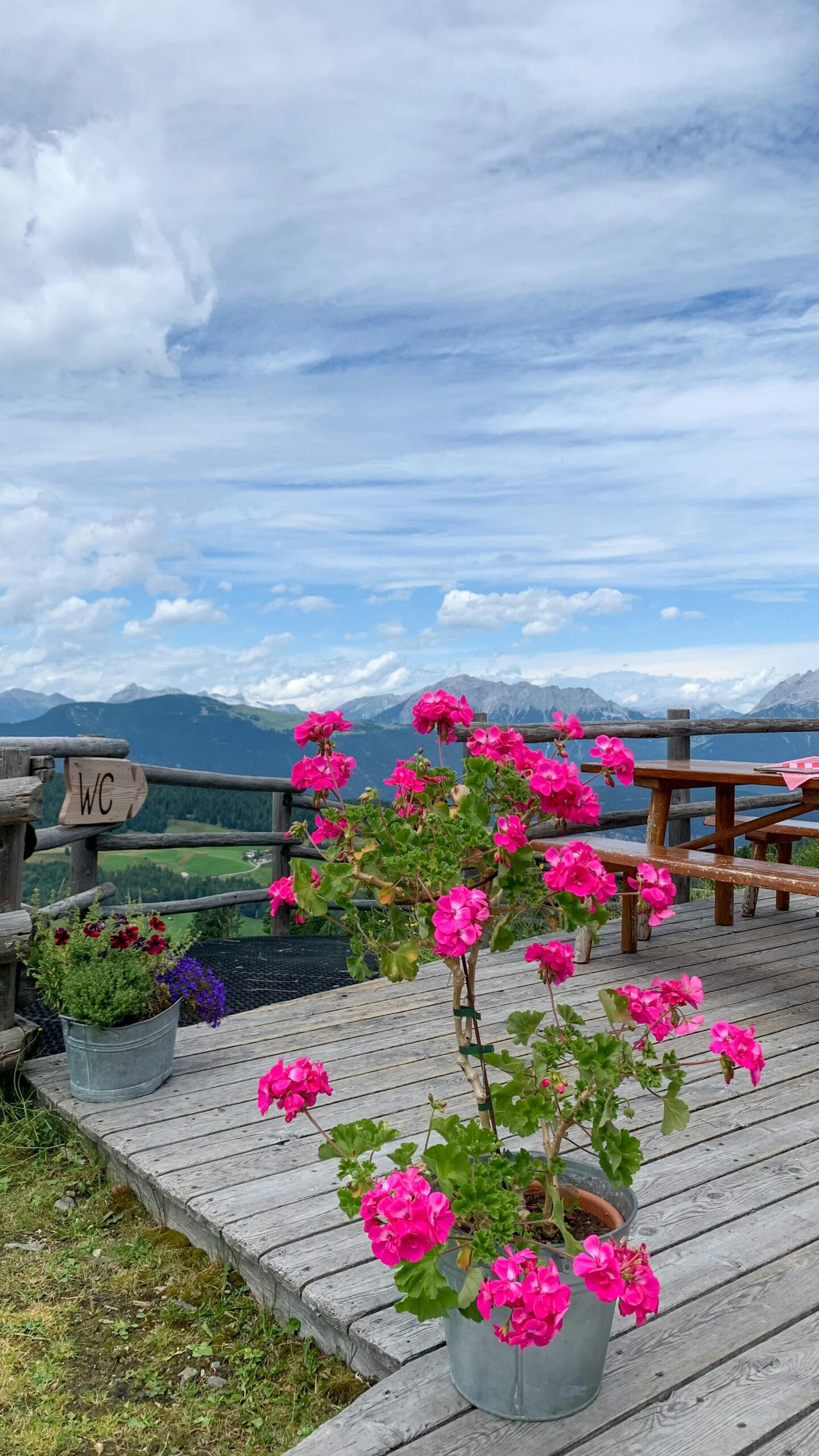 deck, scenery