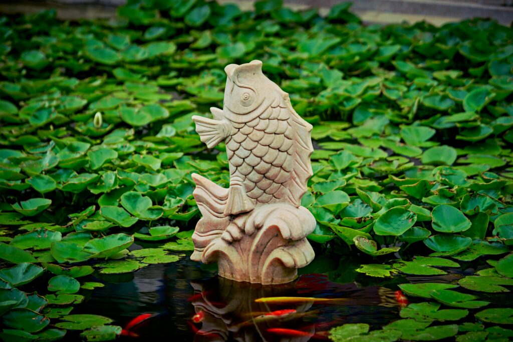 koi pond, statue