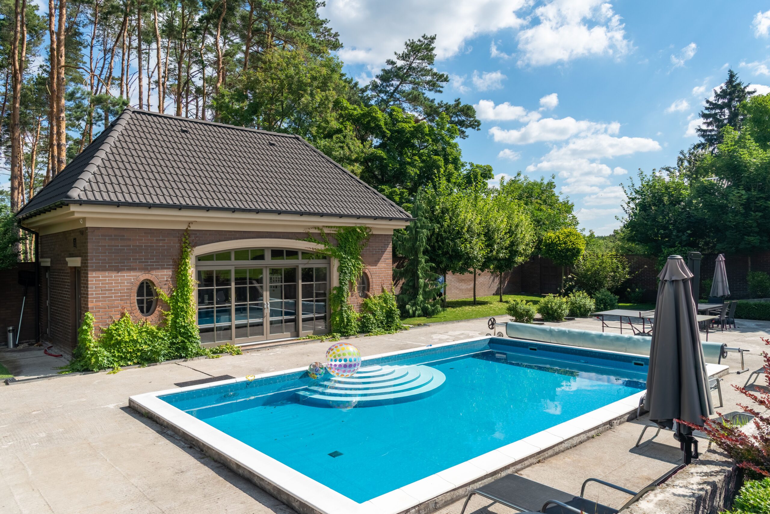 backyard, pool