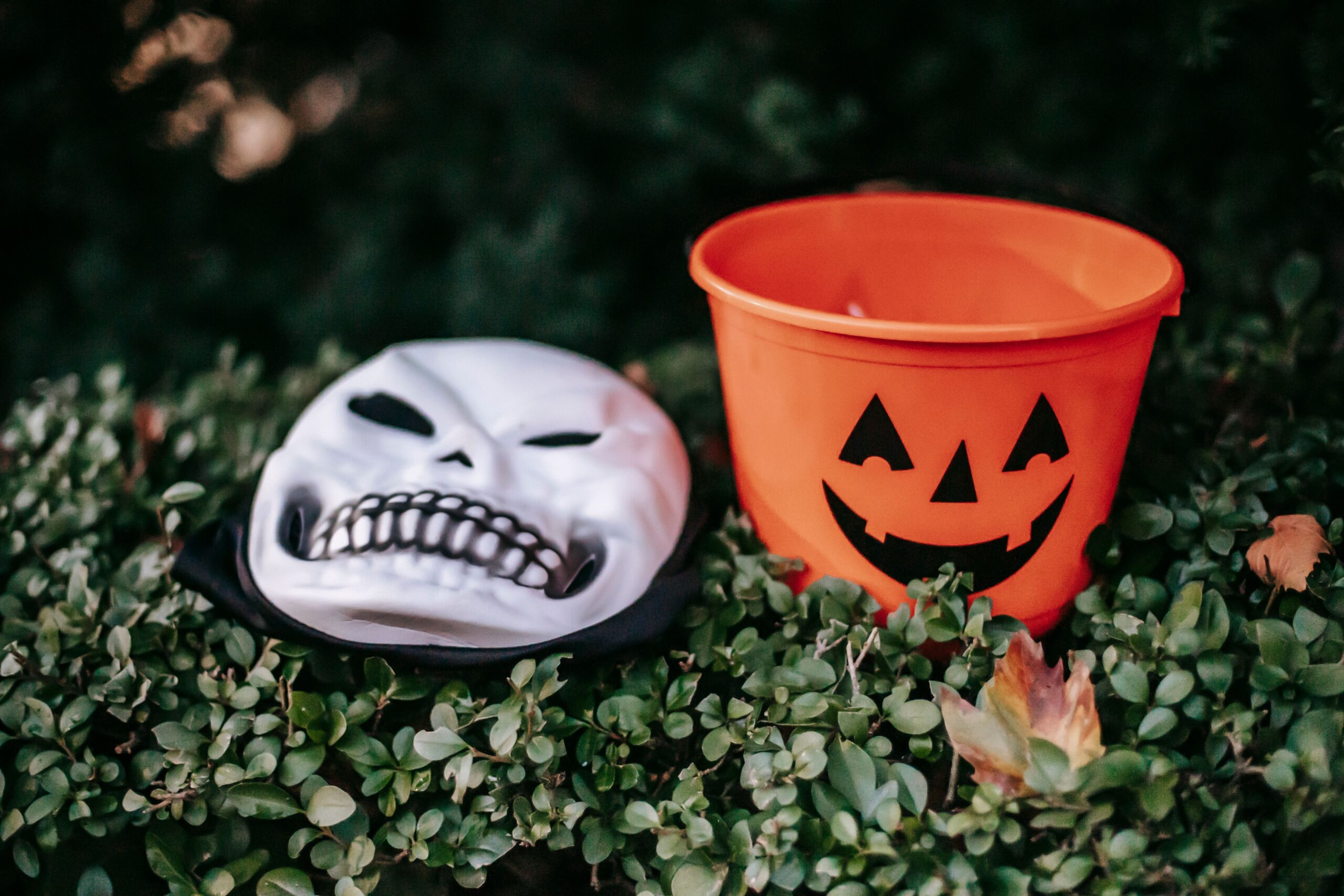 A Halloween mask and pumpkin bucket on greenery.