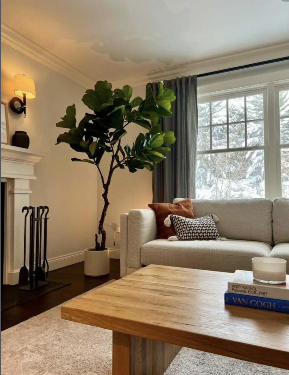 Rootless Plants faux tree in the corner of a living space