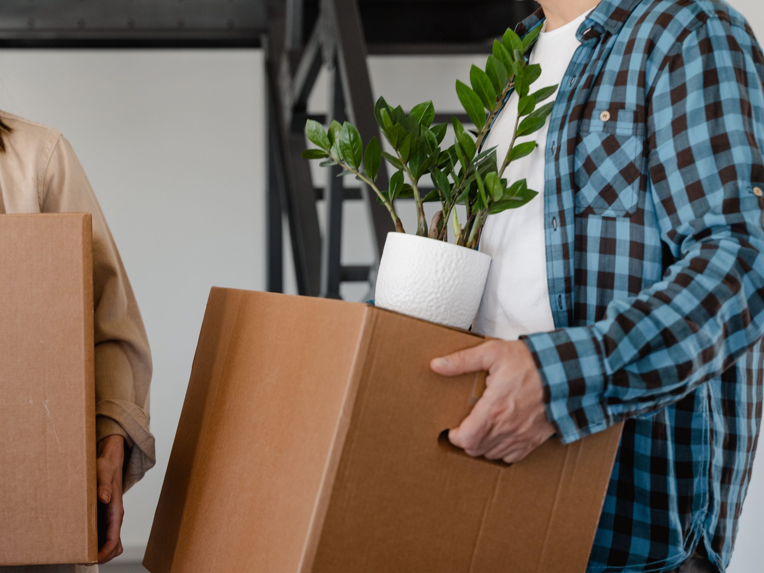man moving a box with a potted plant on top of it