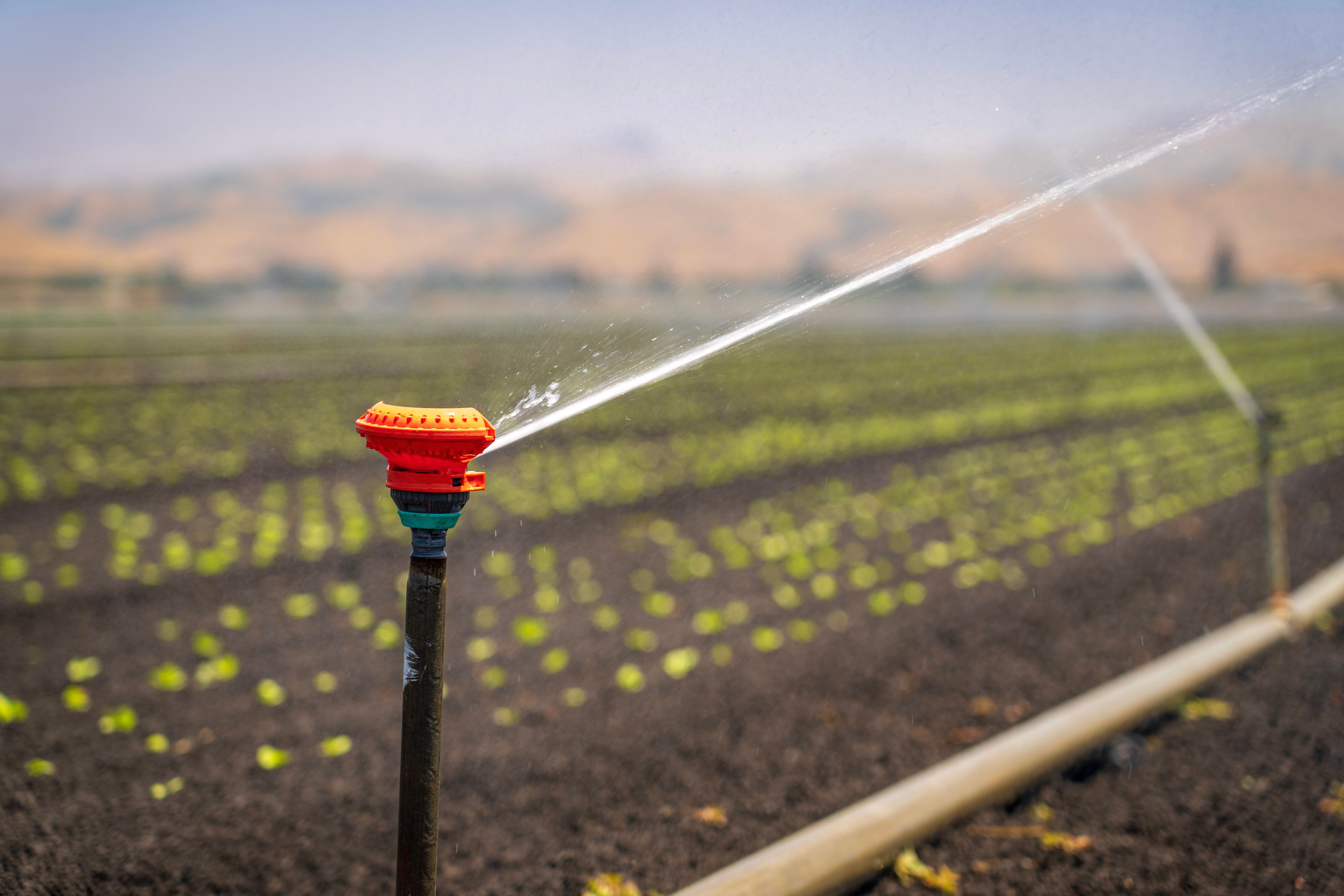 irrigation system on a farm